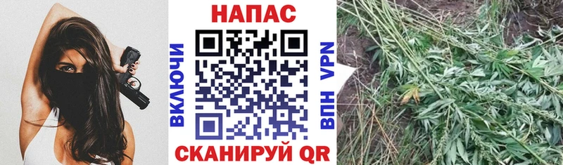 Шишки марихуана AK-47  Сураж 